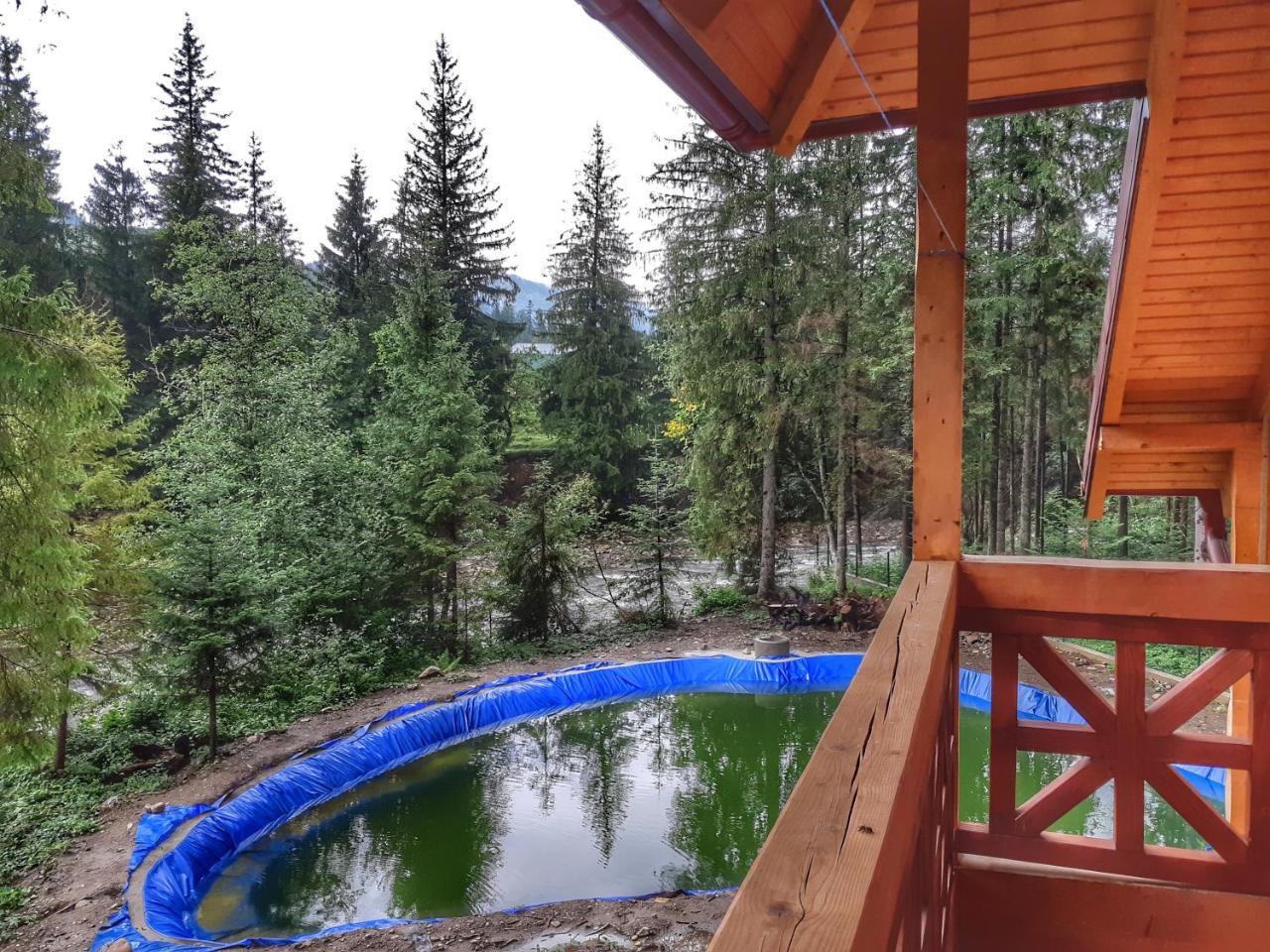 Ferienwohnung Knyazhyi Dvir Strigalnya Exterior foto